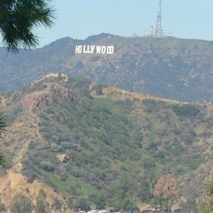 Meet your Posher, Angelica